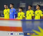 AFC suggests FAM manage Harimau Malaya again
