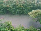 Thunderstorms, heavy rain in five states until 3pm