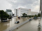 绿地减少·排水不胜负荷 “海绵城市”或成治水方案