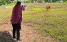 玻大臣开枪射牛惹议 警充公霰弹枪展开调查