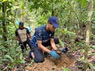 RS-2: Sasar kekalkan tanah hutan simpan sekurang-kurangnya 31 peratus