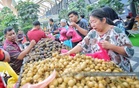 Selangor galak rakyat beli buah tempatan, import cecah RM7.5 bilion setahun