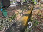 食肆排油污污染沟渠 MPAJ勒令安装隔油器