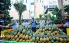 40 tan buah tempatan ditawar di Pesta Buah-Buahan Selangor, nanas MD2 serendah RM1
