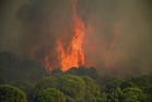 Wildfires threaten Bordeaux as France, Spain battle blazes
