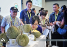 Want to pick a delicious durian? Aroma is the top indicator