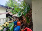 Dua rumah rosak akibat tanah runtuh di Kampung Desa Aman
