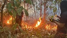 Kebakaran hutan berhampiran perumahan di Sepang berjaya dikawal