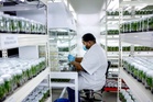 PKPS perkasa pertanian moden melalui pusat penyelidikan di Selangor Fruit Valley