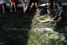 Record heatwave spreads across Korean Peninsula, prompting emergency response