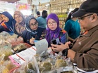 MPS keluar lapan kompaun, sita dua lori dalam operasi di Rawang