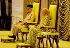 Gabungan Islam Se-Malaysia, 30 NGO coalitions pledge loyalty to Tuanku Muhriz