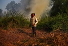 Forest fires continue to plague Indonesia as regional haze concerns persist