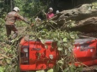 Empat maut, seorang cedera pikap dihempap pokok