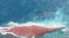 Six dead, over 100 missing after Indonesia ferry capsizes