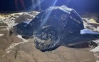 Third leatherback turtle lands in Terengganu this month
