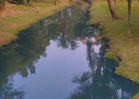 Sewage overflow found to be cause of Tasik Wawasan contamination