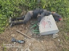 Lelaki maut terkena renjatan elektrik ketika curi kabel TNB di Kapar