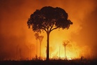 Global warming is accelerating, leading climate scientist Rockström says