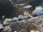 Top 10 Aquariums in Penang 2026