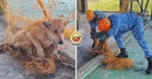 【对不起，谢谢你🥺】流浪狗跟球网“纠缠不清”，一脸无辜等APM解救！