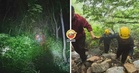 【30小时才获救!】老人深山采药迷路,听到『有人呼叫但不敢回应』,一直跟搜救队错过(内附影片)