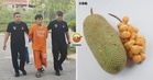 【水果变武器!】用Cempedak砸伤爸爸,大马30岁男子认罪!