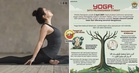 【Yoga不符合教义！】直辖区宗教局提醒穆斯林『禁止做瑜伽』，违规将被依法对付！