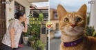 邻居每天叫“阿弟”回家吃饭,女子『没见过真人』超疑惑!最后发现原来是Oyen!🐱