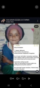 Wanita Dakwa Diserang Selepas Dedah Latar Belakang Aktivis Rohingya Noor Azizah