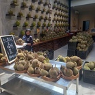 KLDEX hab durian terbesar Asia! Himpunkan sejarah, budaya dan cita rasa Malaysia