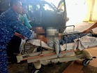 Anggota maut dipatuk ular, APM tegaskan pengendalian haiwan berbisa ikut SOP
