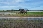 SPRM siasat kelewatan pemberian bekalan baja di Kedah