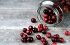 Cranberry Juice May Strengthen Antibiotic Action Against Urinary Tract Infection
