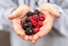 Most People Fall Short on Heart-Boosting Flavanols, Study Shows