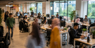 Government Clarifies Pay Day Now Is Not An Official Scheme