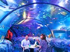 LEGOLAND Malaysia Brings Back Underwater Dining