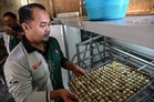 UPM quail farming innovation helps increase community income