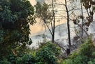 Two-acre forest fire breaks out in Puncak Alam