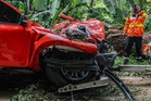 Maran Umno Youth chief, three family members killed in falling tree tragedy near Janda Baik