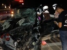 LPT2 driver demands safety fixes after wild elephant collision