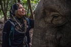 Malaysia's 'elephant whisperer' fights to save Borneo's endangered giants