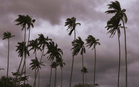 Strong winds expected in northern peninsula from tomorrow