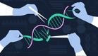First patient in Germany treated with gene-editing technology