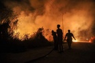 Indonesia fires have burned nearly two million hectares
