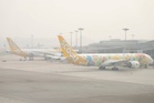 Indonesia haze disrupts over 2,600 flights since August