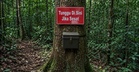 Lelaki Kongsi Idea Luar Kotak Bendung Masalah Sesat Dalam Hutan