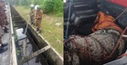 Buaya 10 Kaki Ditemukan Terperangkap Dalam Longkang Di Banting