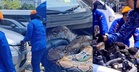 Asalnya Pergi Kenduri, Wanita Tak Sangka Ular Besar 'Teduh' Dalam Kereta