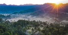 Jangan Panik Jika Sesat Di Hutan, Guna Formula "STOP"